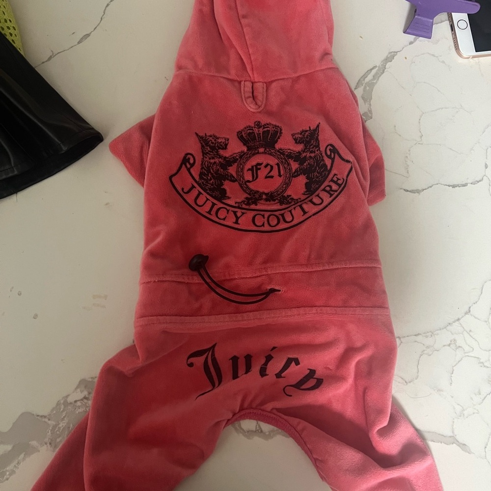 Juicy Couture Pink Dog Hoodie